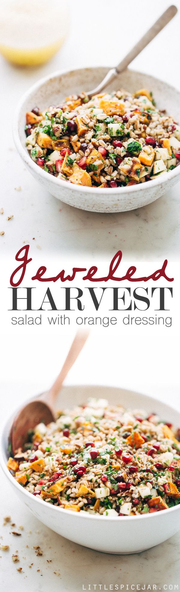 Jeweled Harvest Salad with Orange Dressing