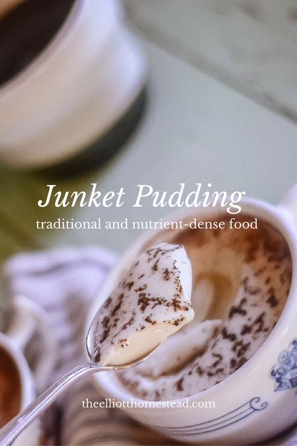 Junket Pudding: Feed your gut