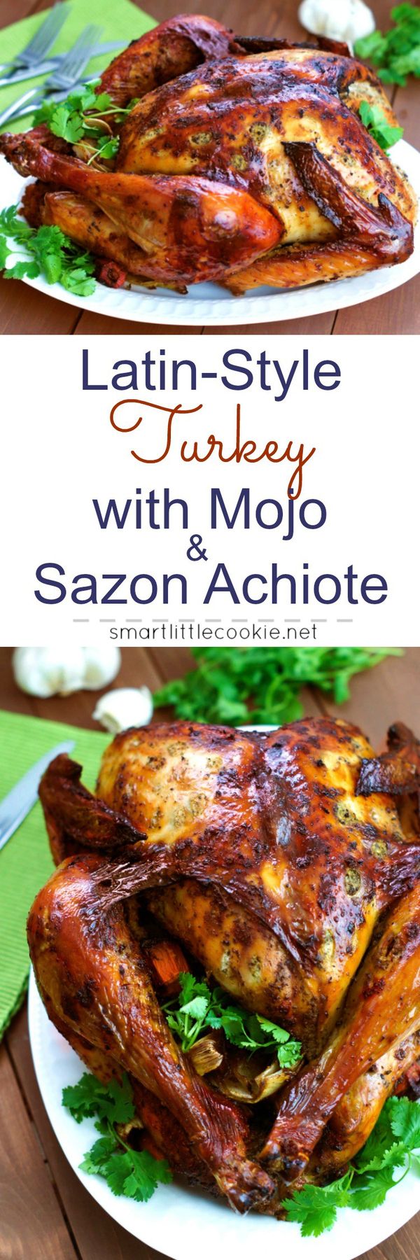 Latin-Style Turkey With Mojo and Sazón Achiote