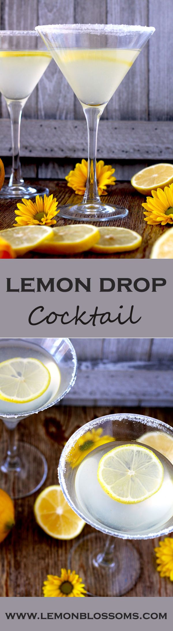 Lemon Drop Cocktail