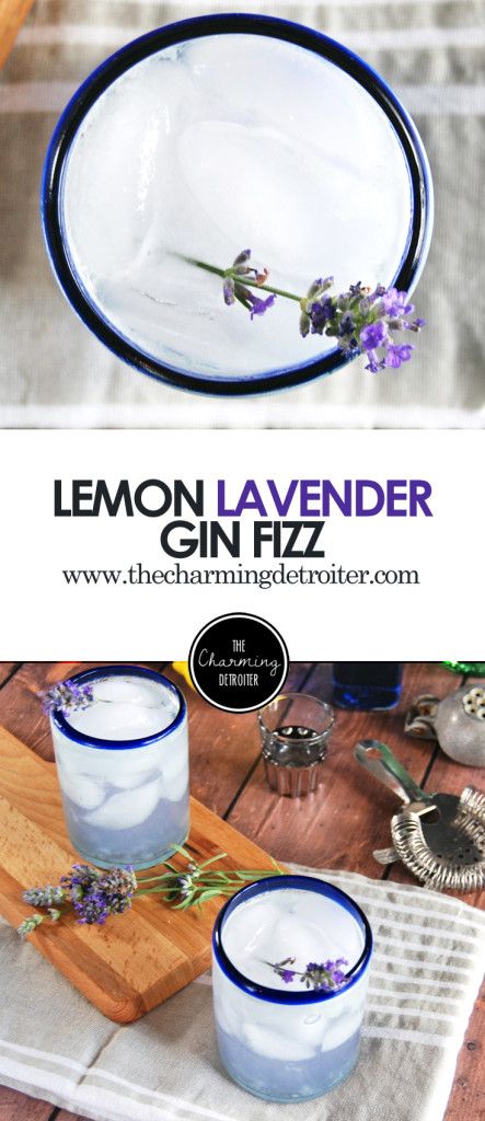 Lemon Lavender Gin Fizz