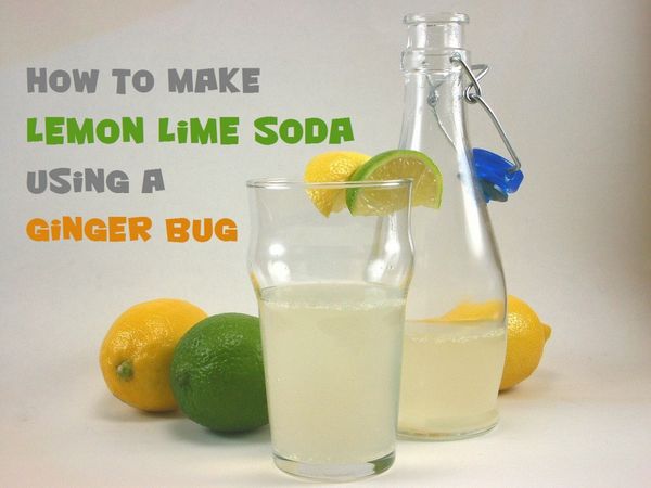 Lemon Lime Ginger Bug Soda