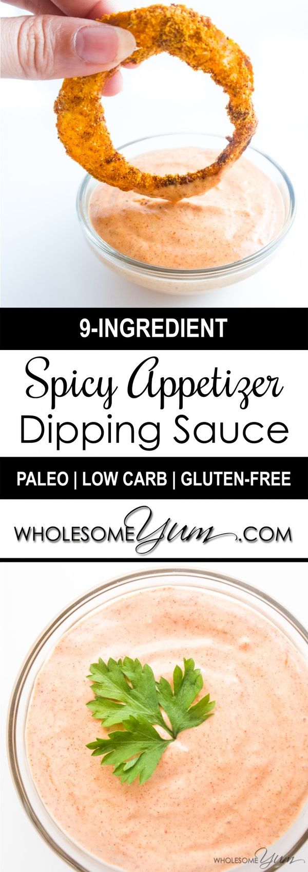 Low Carb Dipping Sauce for Appetizers (Paleo, Gluten-free