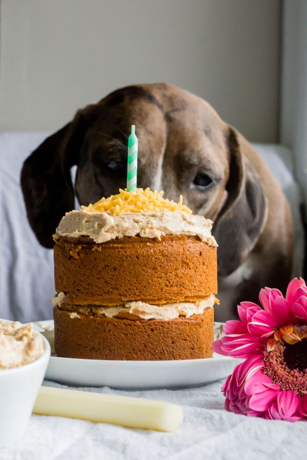 Mini Dog Birthday Cake