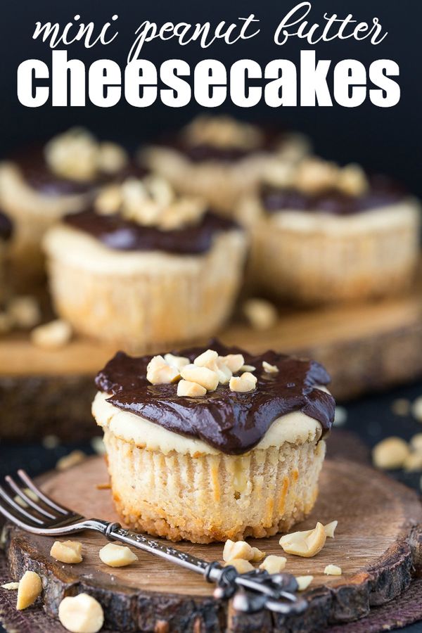 Mini Peanut Butter Cheesecakes with Chocolate Peanut Butter Sauce