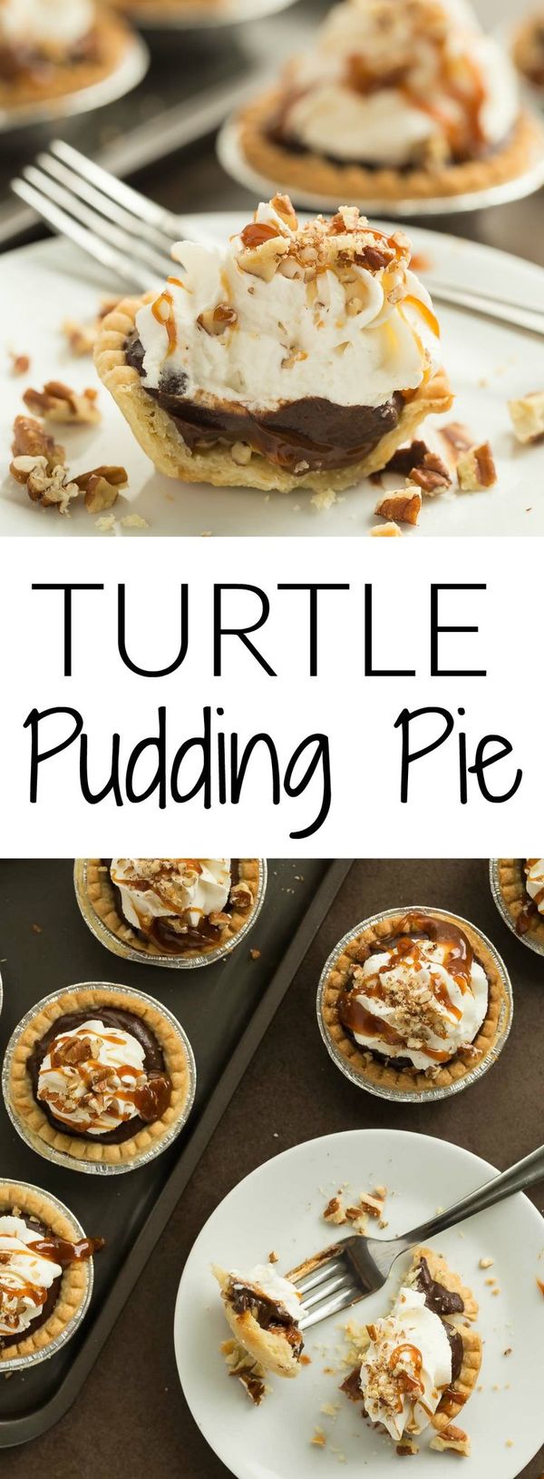 MinivTurtle Pudding Pies