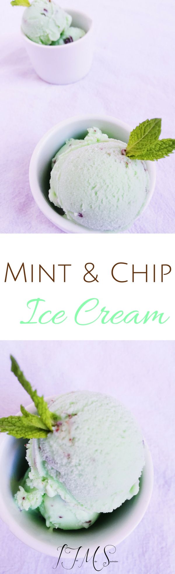 Mint n' Chip Ice Cream