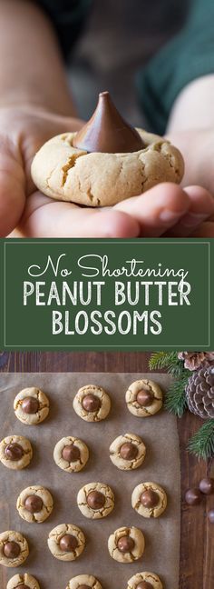 No Shortening Peanut Butter Blossoms