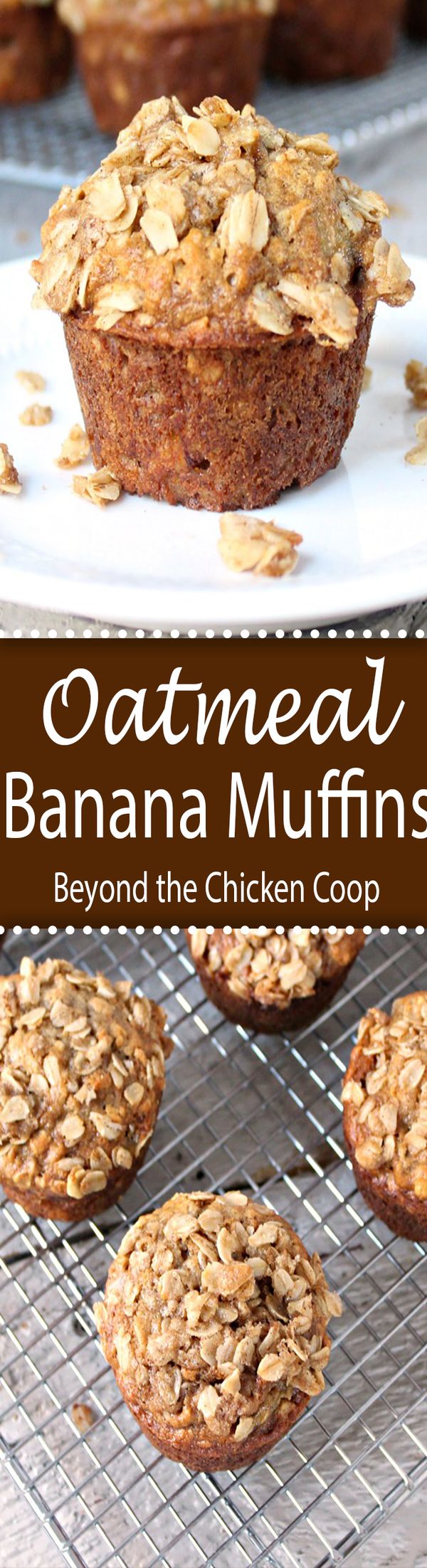 Oatmeal Banana Muffins