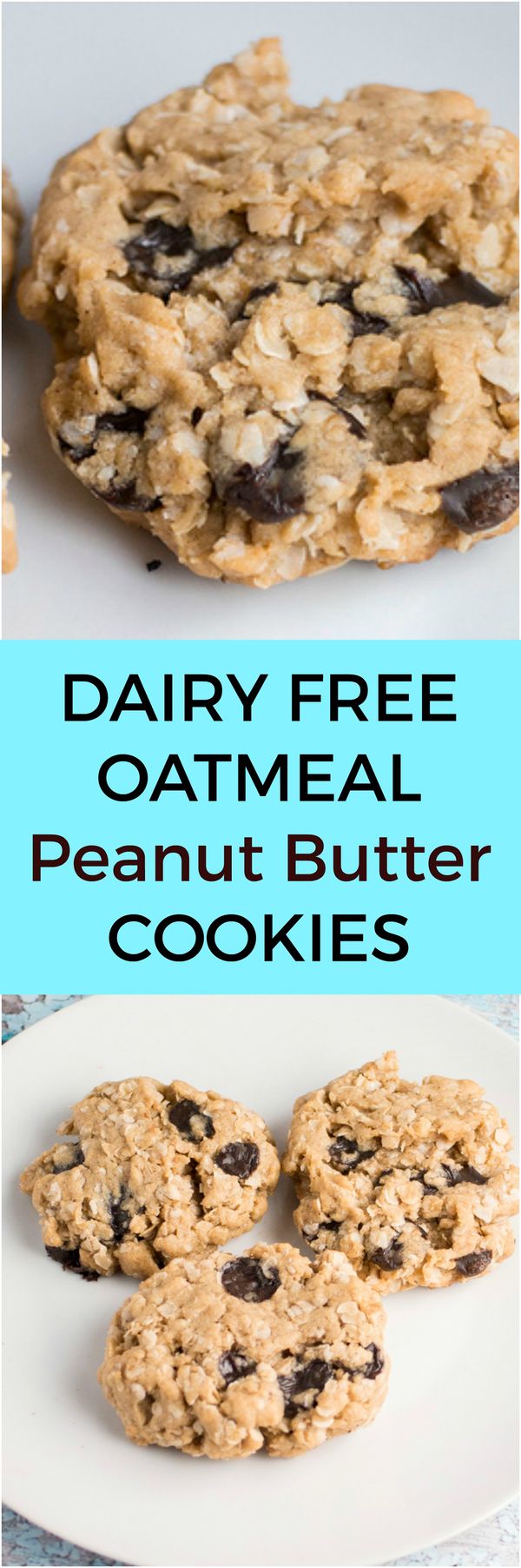 Oatmeal Peanut Butter Cookies (Dairy Free Option