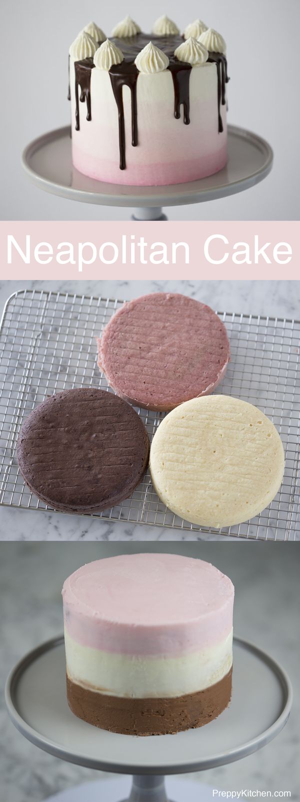 Ombré Neapolitan Cake