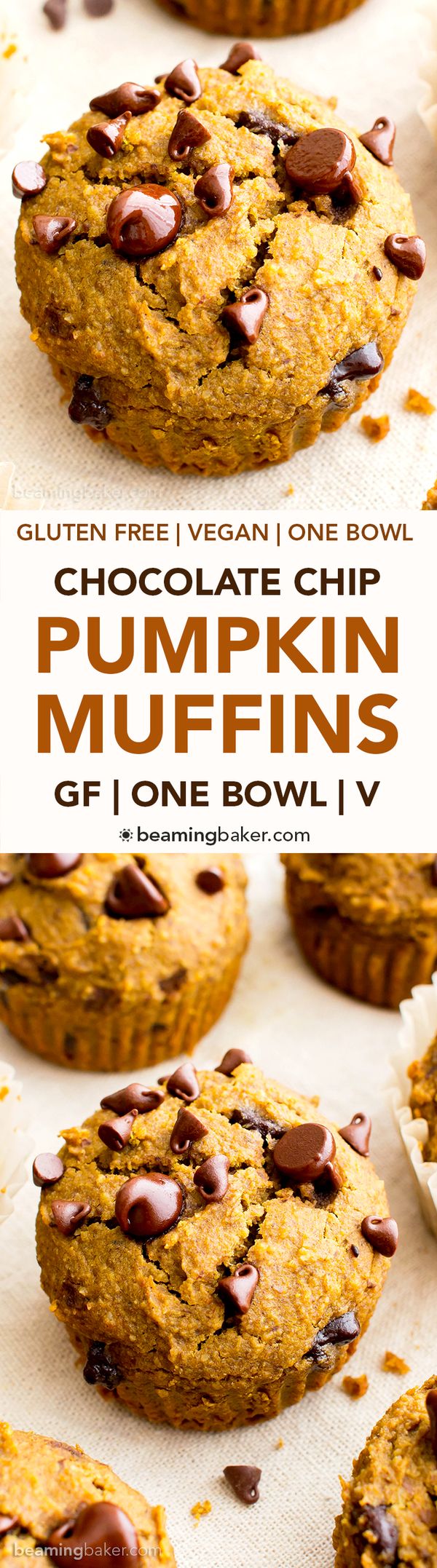 One Bowl Gluten Free Pumpkin Chocolate Chip Muffins (GF, Vegan, Dairy Free