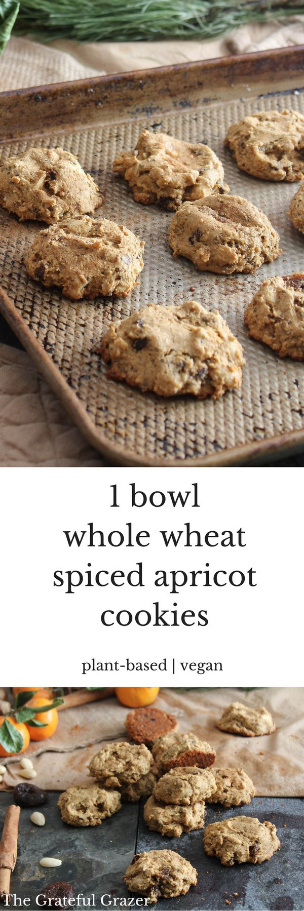 One Bowl Whole Wheat Spiced Apricot Cookies