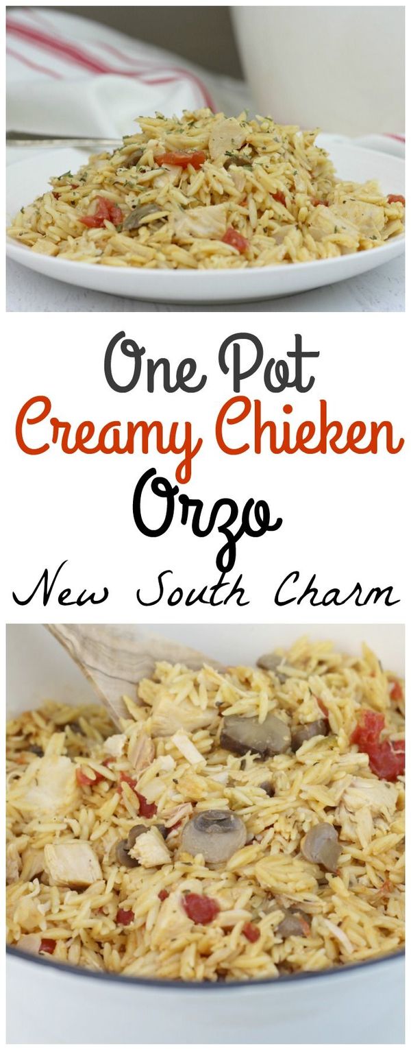 One Pot Creamy Chicken Orzo