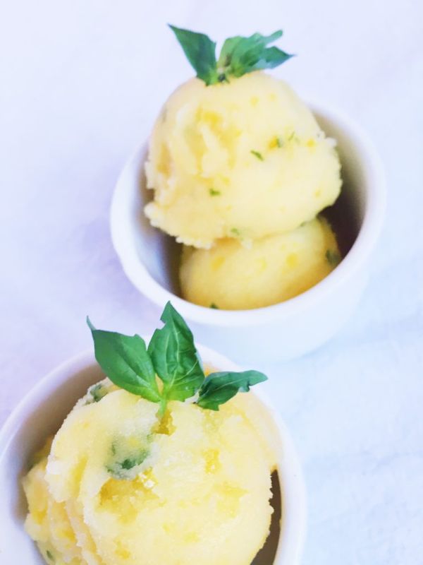 Orange Basil Sorbet