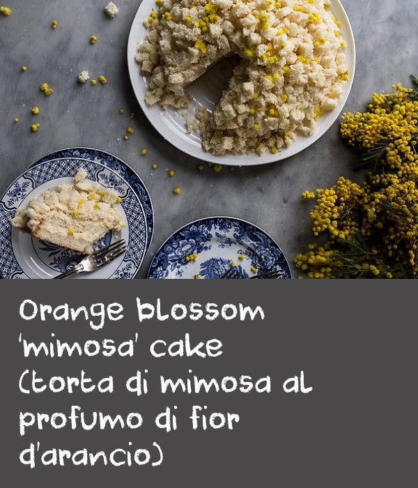 Orange blossom ‘mimosa’ cake (torta di mimosa al profumo di fior d’arancio