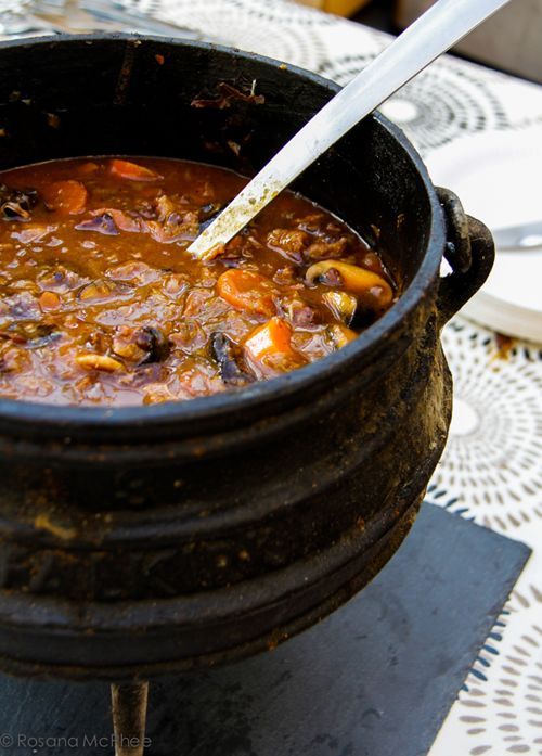 Oxtail and red wine potjie