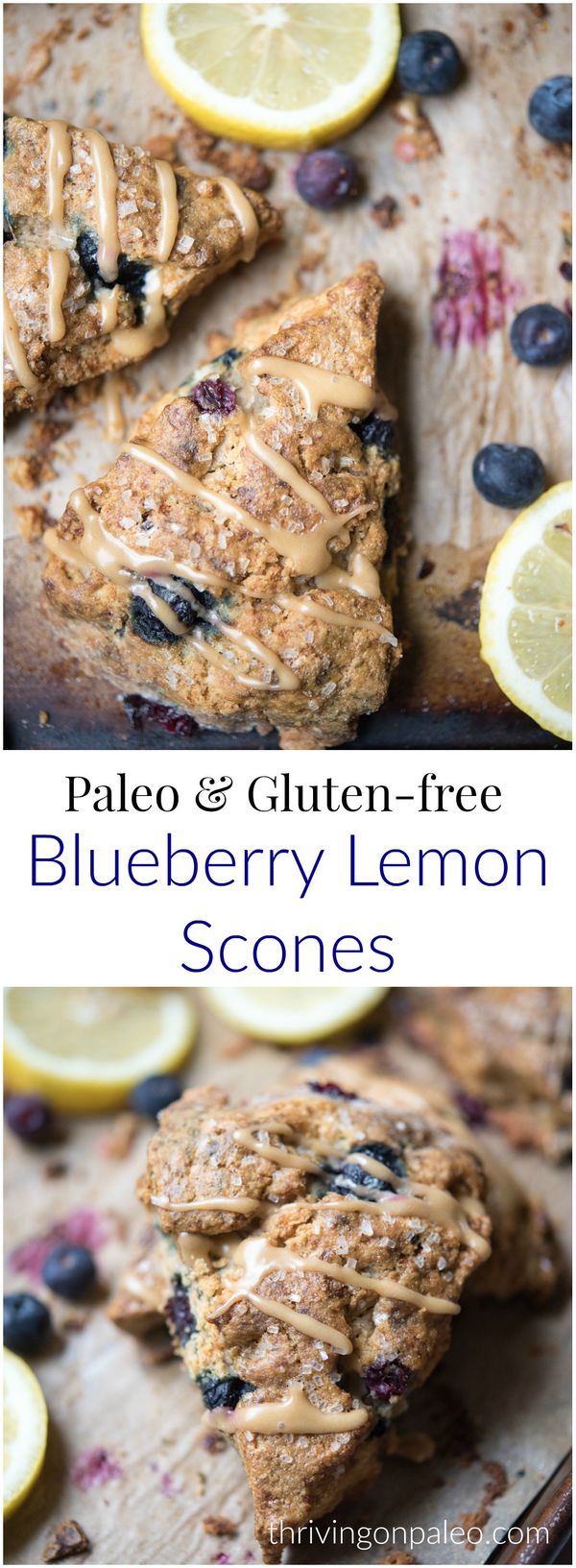 Paleo Blueberry Lemon Scones