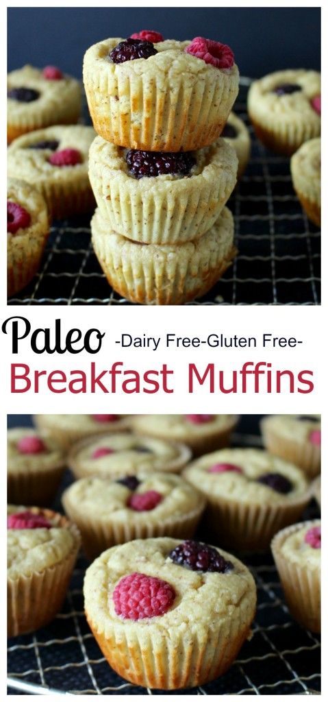 Paleo Breakfast Muffins