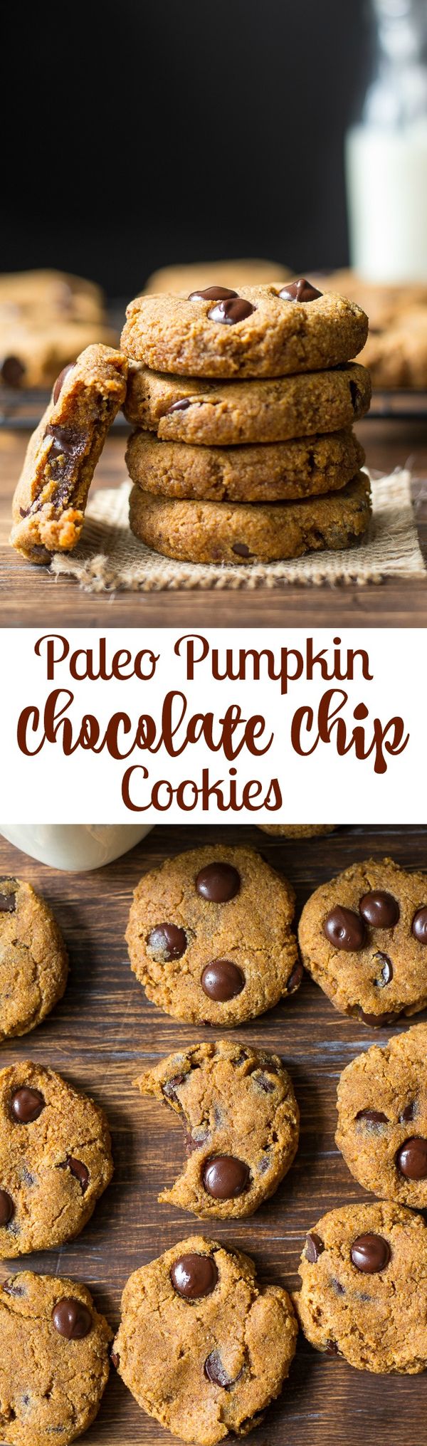 Paleo Pumpkin Chocolate Chip Cookies