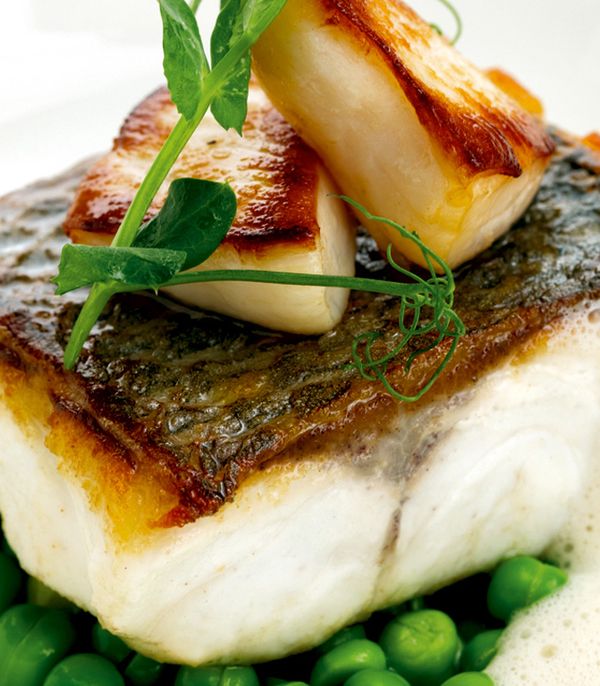 Pan-roast sea bass fillet with Jersey scallops and peas