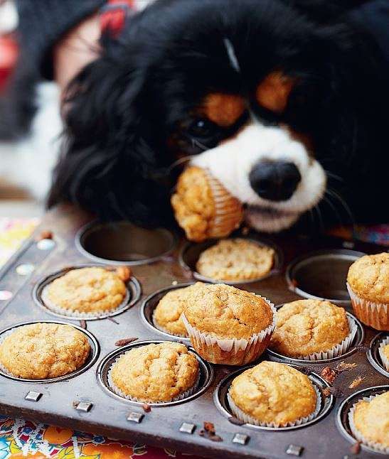 Peanut Butter and Banana Dog Cupcakes