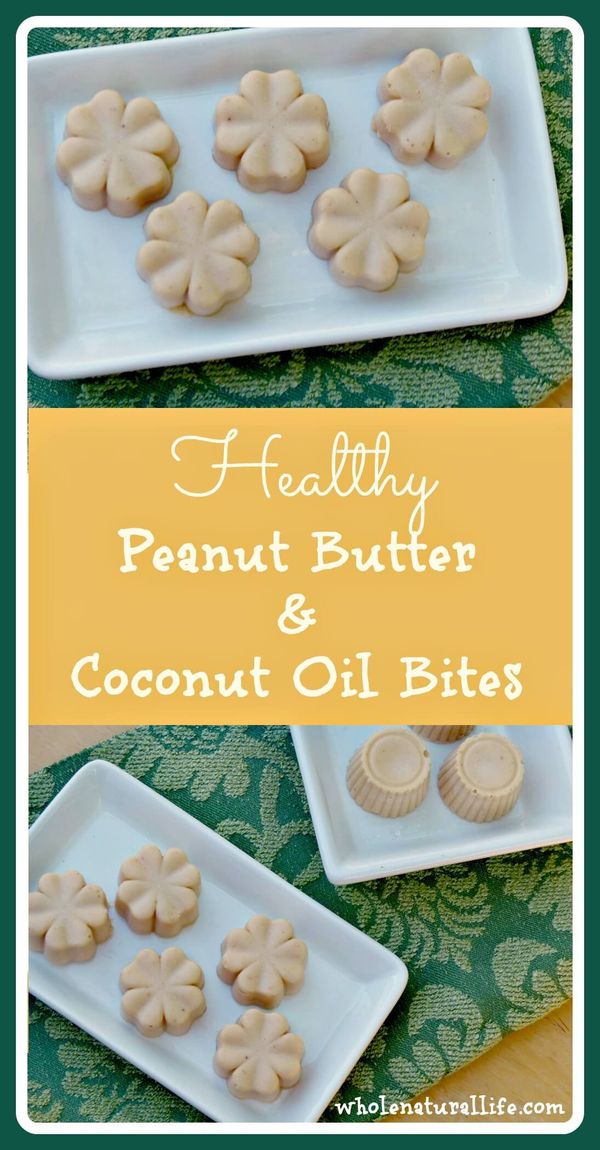 Peanut Butter and Coconut Oil Bites