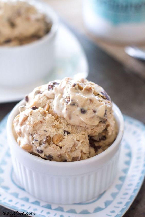 Peanut Butter Chocolate Chip Ice Cream