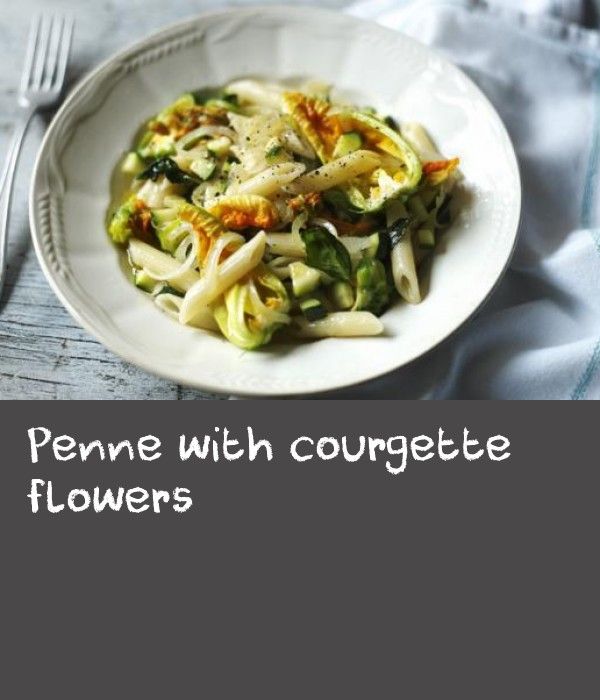 Penne with courgette flowers