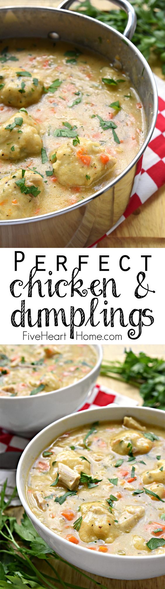 Perfect Chicken & Dumplings