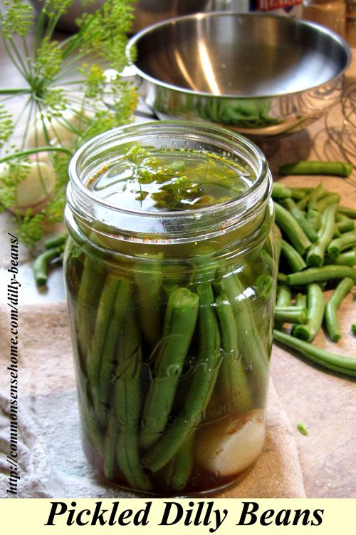 Pickled Dilly Beans