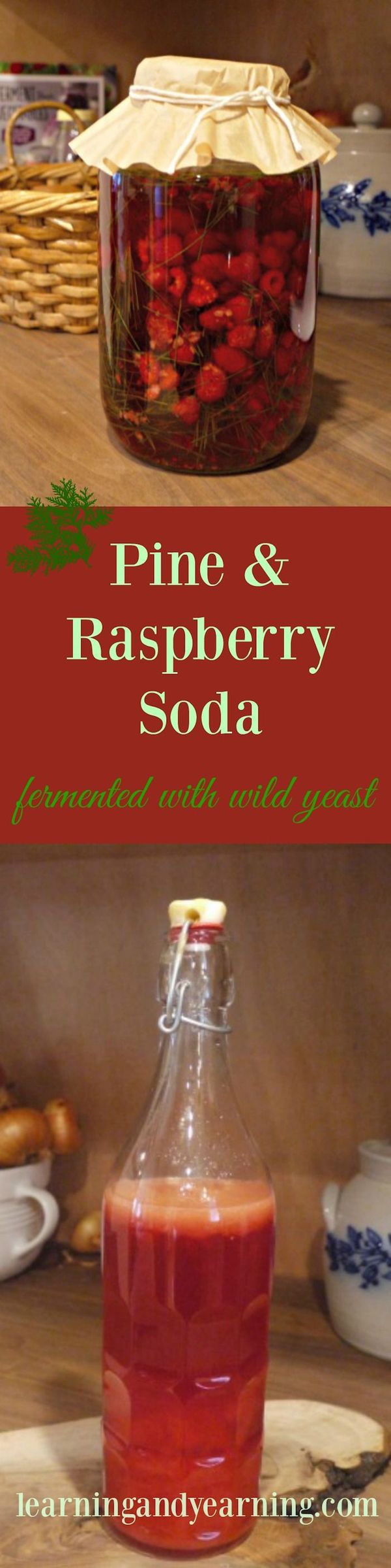 Pine Needle and Raspberry Soda