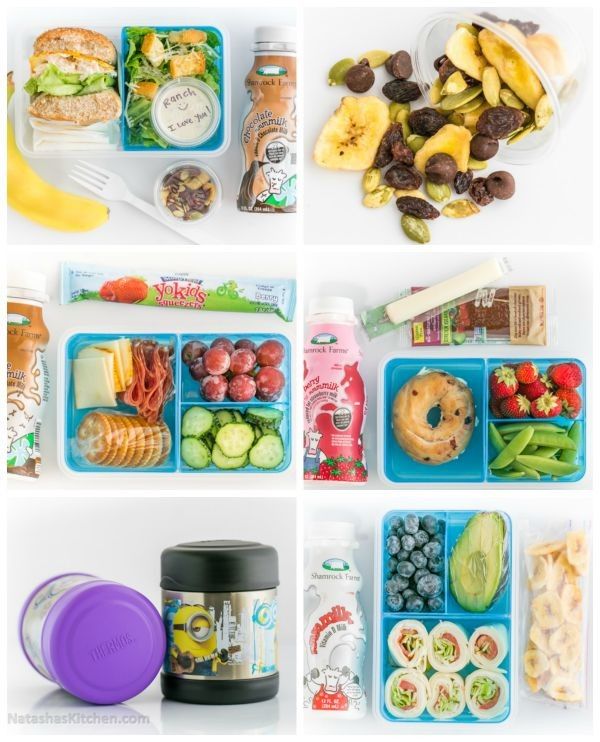 Practical School Lunch Ideas (Cold and Hot Lunch Ideas