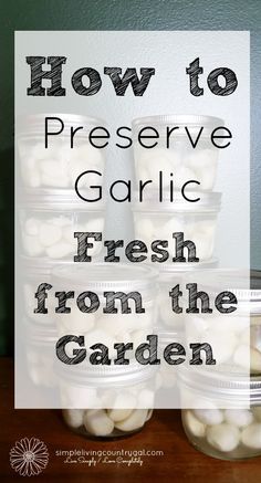 Preserving Garlic Cloves from the Garden