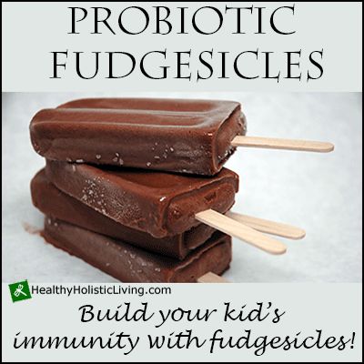 Probiotic Fudgesicles