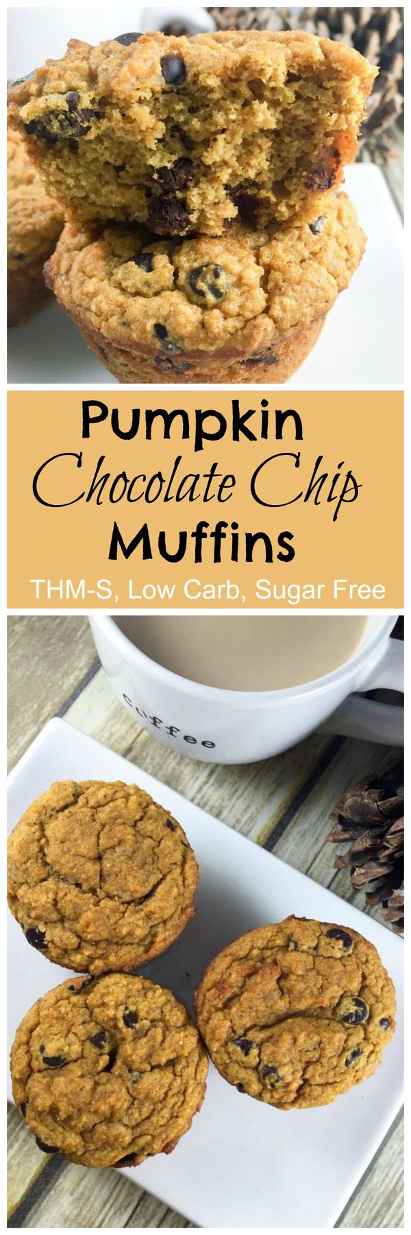 Pumpkin Chocolate Chip Muffins (THM-S, Low Carb, Sugar Free