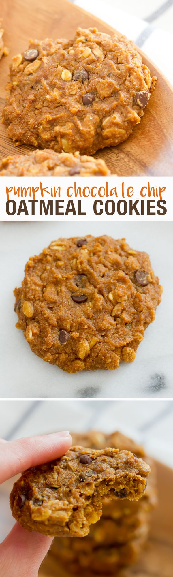 Pumpkin Oatmeal Chocolate Chip Cookies