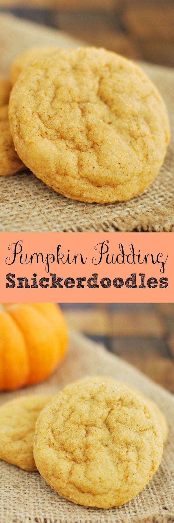 Pumpkin Pudding Snickerdoodles