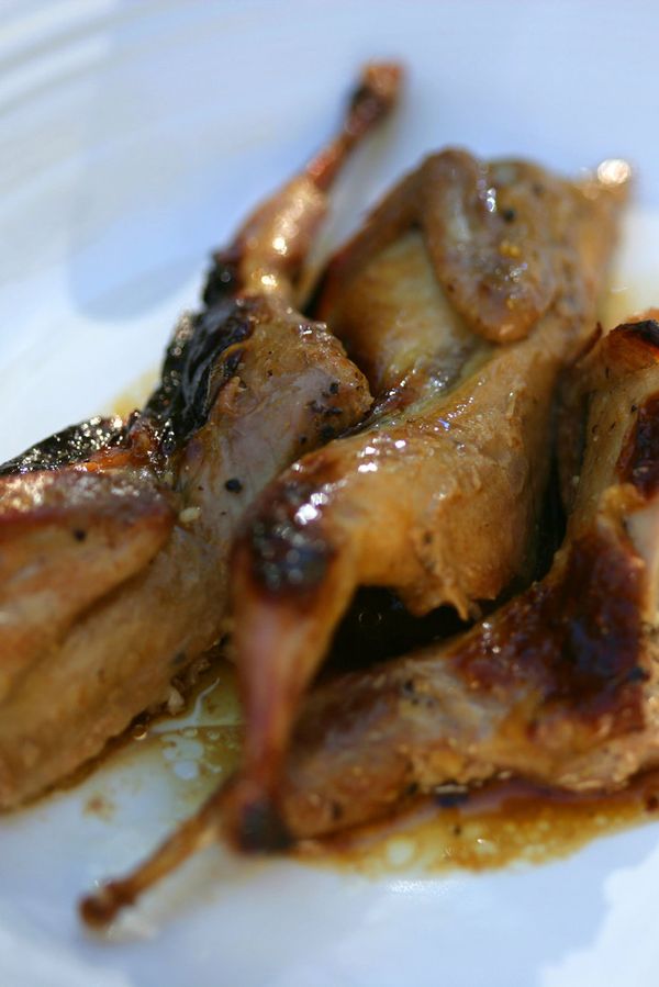 Quail Roasted with Honey, Cumin and Orange Juice