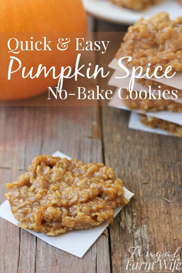 Quick and Easy Pumpkin Spice No-Bake Cookies