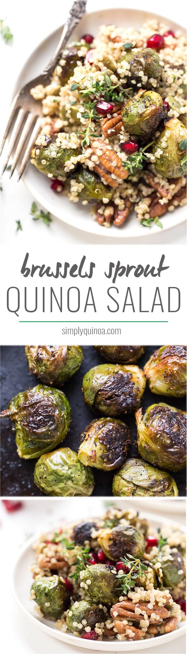 Roasted Brussels Sprout Quinoa Salad