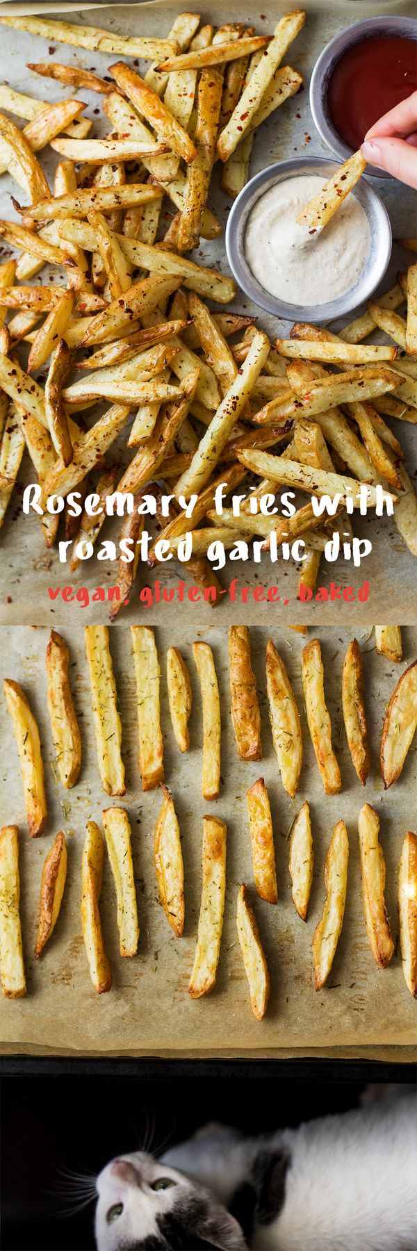 Rosemary fries with roasted garlic dip