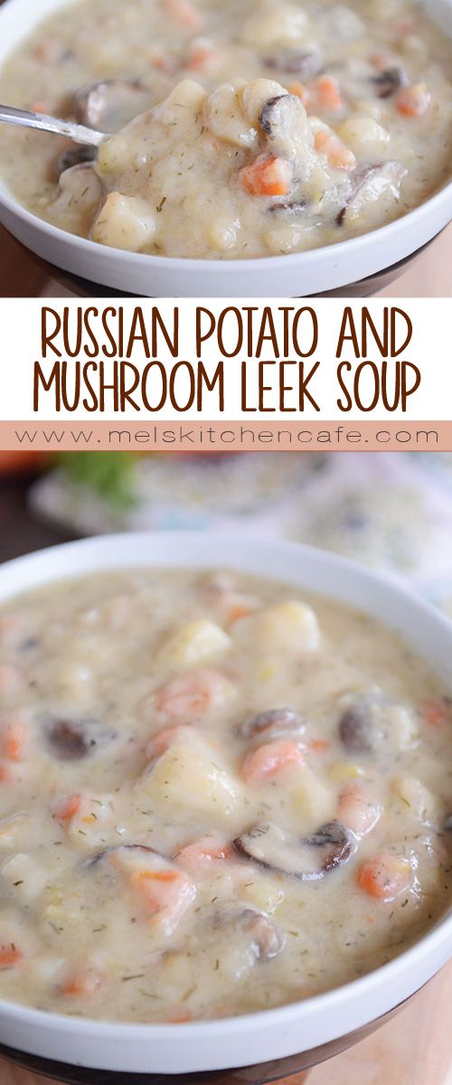 Russian Potato and Mushroom Leek Soup