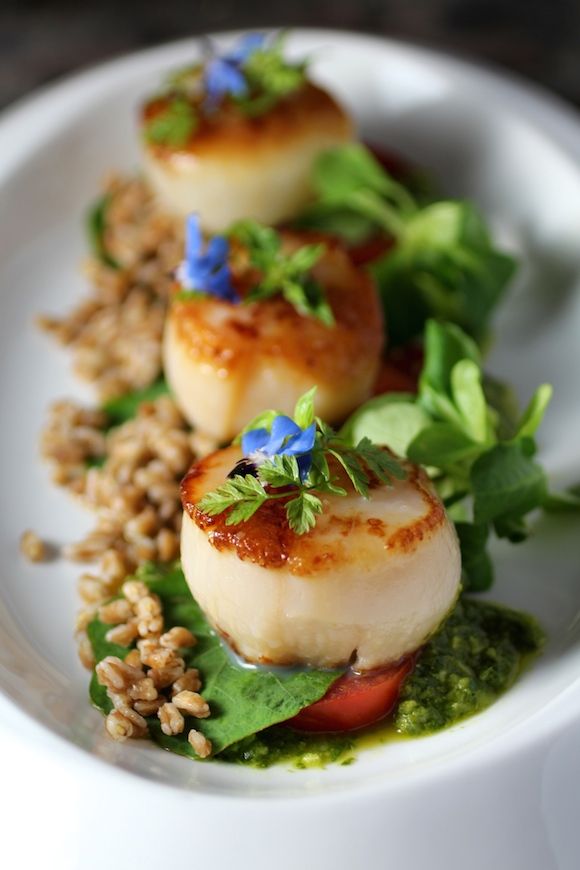 Scallop, Farro, Micro Greens, Lemon Basil Sauce