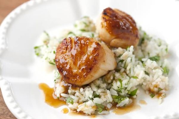 Scallop with Apricot Sauce