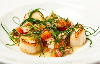 Seared scallops with salsify, blood orange and brown shrimp