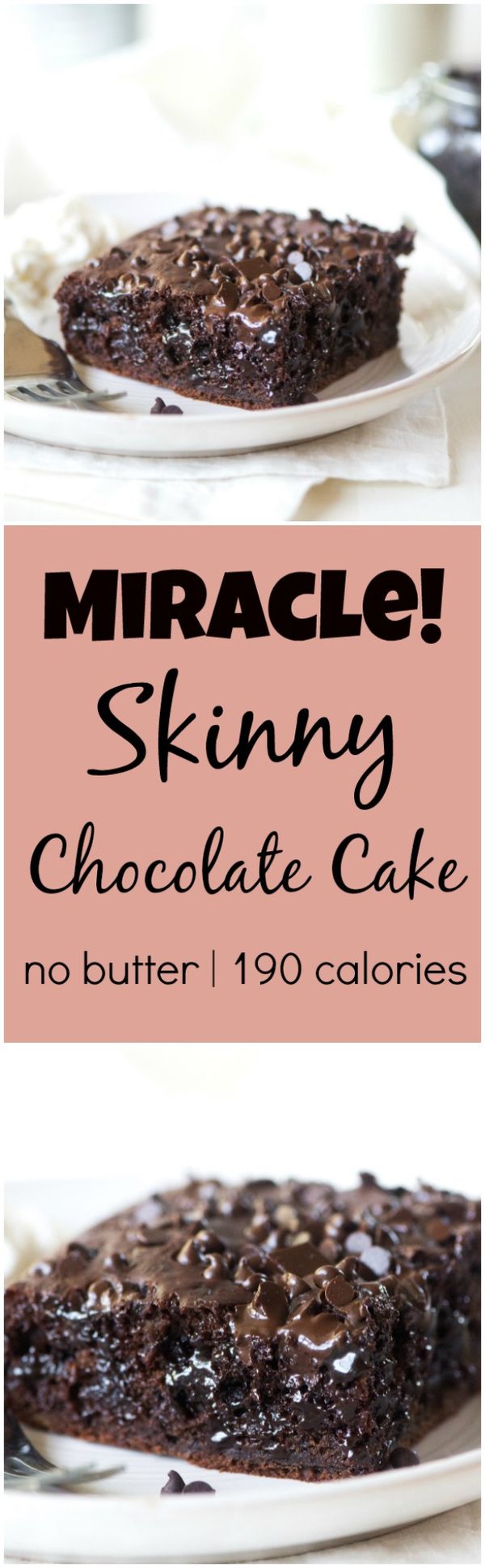 Skinny Chocolate Cake