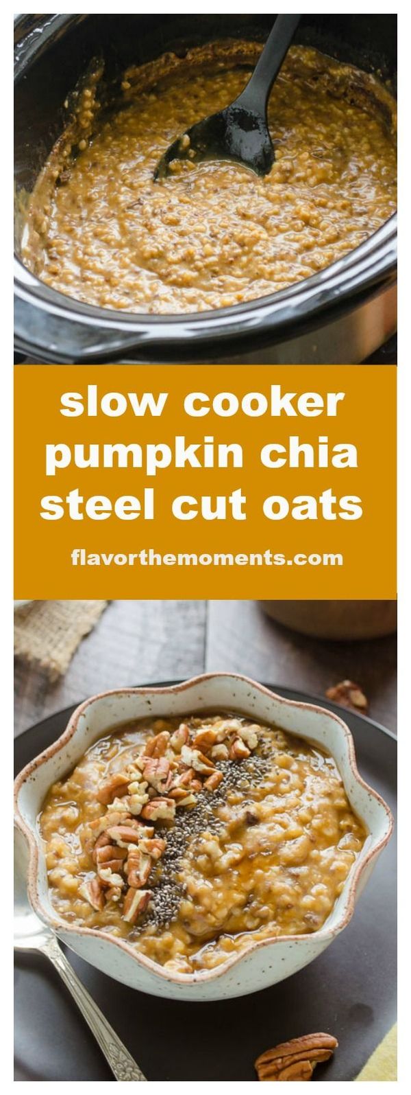 Slow Cooker Pumpkin Chia Steel Cut Oats