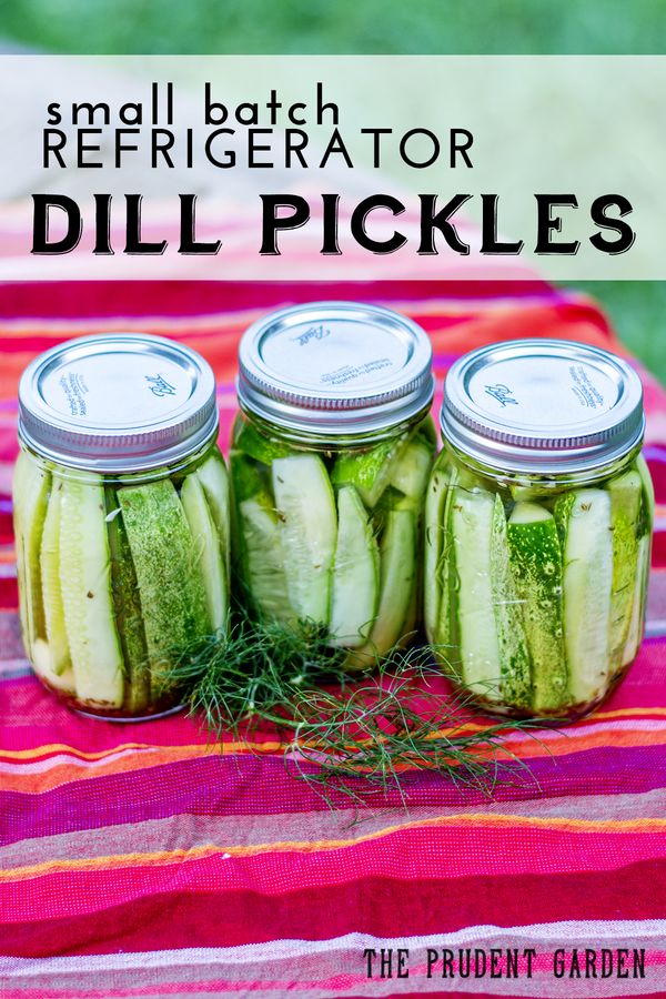 Small Batch Refrigerator Dill Pickles