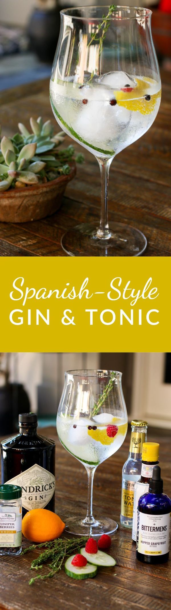 Spanish-style Gin And Tonic